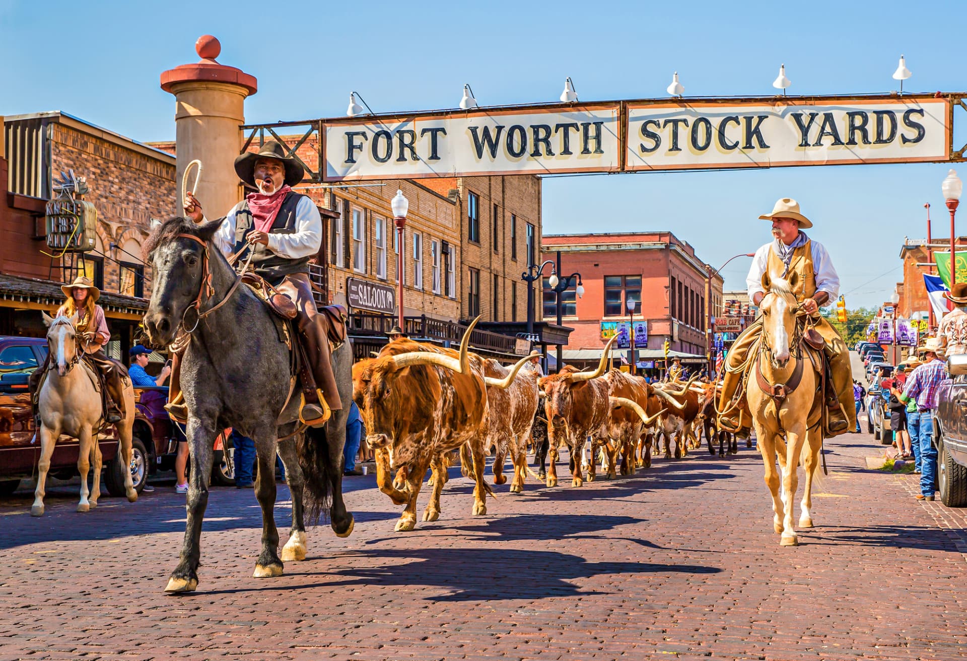 Longhorn cattle drive passing beneath the Fort Worth Stock Yards sign on Exchange Avenue